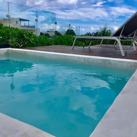 Polo 15 Suites